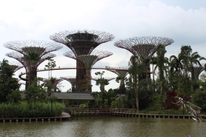 Singapore gardens by the bay
